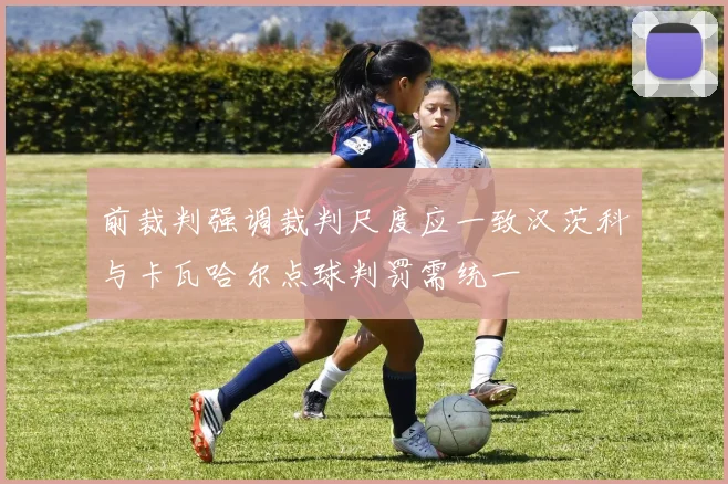 前裁判强调裁判尺度应一致汉茨科与卡瓦哈尔点球判罚需统一